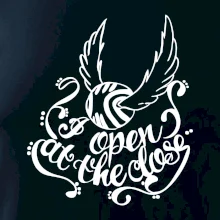 Harry - Zlatá strela