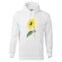 Slnečnica otočená