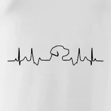 Labradorský retriever EKG Labradorský retriever EKG