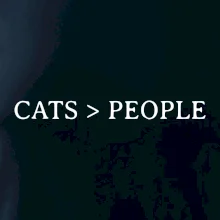 Cats > people