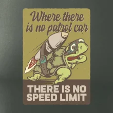 Korytnačka na cestách