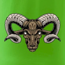 Hlava barana zlá