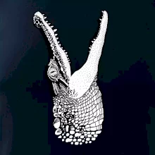 Krokodíl kreslený  (Pecka design)