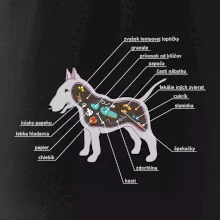 Tajomstvo bulteriéra s popisom (Pecka Design)