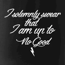 I solemnly swear that I'm up to no good