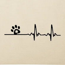Veterinár EKG