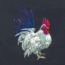 Kohút kreslený biely