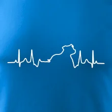 Stafordšírsky bulteriér ‎ EKG