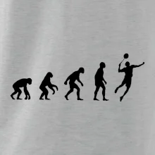 Evolúcia Bedminton