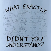 What exactly didn't you understand - physics What exactly didn't you understand - physics