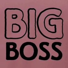 Big boss mini boss