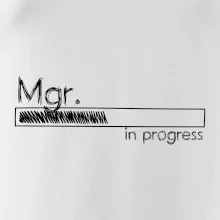 In progress titul Mgr. magister / magistra