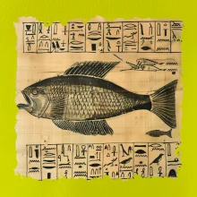 Egyptské hieroglyfy ryba