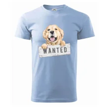 Zlatý retriever - šteniatko wanted