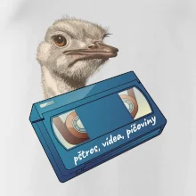 Pštrosi vídea Pštrosi vídea