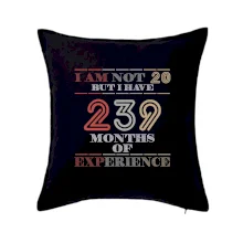 20 years 239 months of experience