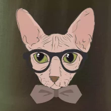 Hipster sphynx