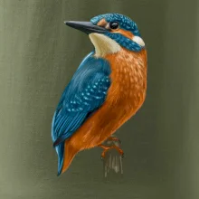 Ľadnáčik kreslený