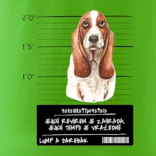 Baset - lump a darebák  