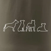 Americký stafordšírsky teriér v rôznych pozíciách