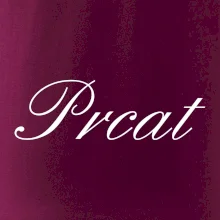 Prcat (súložiť vulgárne) Prcat (súložiť vulgárne)