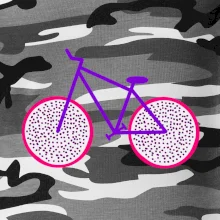 Bicykel dračie ovocie (Moňas)