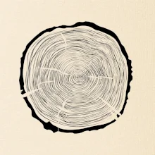 Letokruhy 65 bez veku