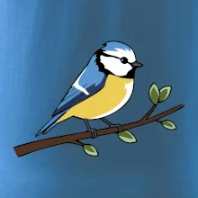 Sýkorka modrinka na vetve