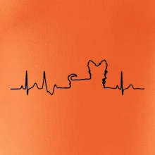 Yorkshirský teriér EKG Yorkshirský teriér EKG