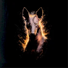 Obrázok poltón Xoloitzcuintli mexický naháč