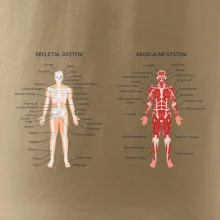 Skelet and Moscular system