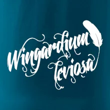 Harry - Wingardium Leviosa