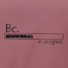 In progress titul Bc. bakalár / bakalárka