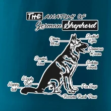 Nemecký ovčiak - Anatómia Nemecký ovčiak - Anatómia