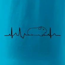 EKG morča EKG morča