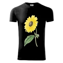 Slnečnica otočená