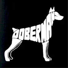 Dobermans - nápis v tele Dobermans - nápis v tele