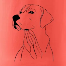 Labrador čierna kresba