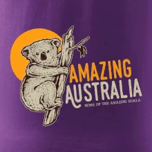 Amazing Australia koala