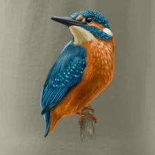 Ľadnáčik kreslený Ľadnáčik kreslený