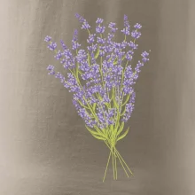 Levanduľa kreslená