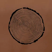 Letokruhy 40 bez veku