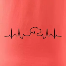 Labradorský retriever‎ EKG