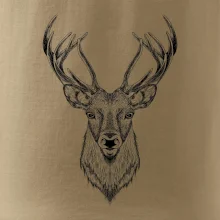 Jeleň kresba