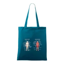 Skelet and Moscular system