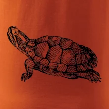 Ceruzkou kreslená korytnačka