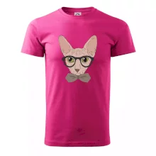 Hipster sphynx Hipster sphynx