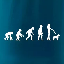 Lagotto romagnolo Evolúcia