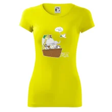 Pravda s Noemovou archou Pravda s Noemovou archou