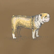 Vintage bulldog